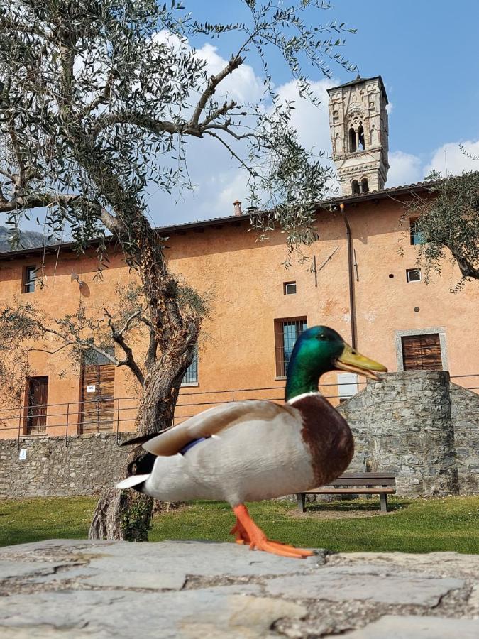 Le Allegre Comari di Ossuccio Esterno foto